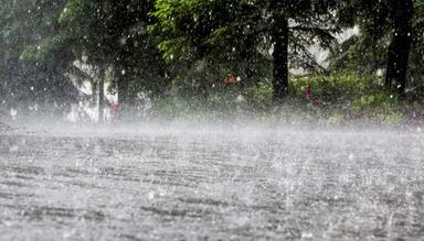 রাজহাঁসের মতোন ডানা ঝাপটিয়ে সব অপ্রিয়তা ঝেড়ে ফেলা
