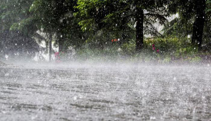 রাজহাঁসের মতোন ডানা ঝাপটিয়ে সব অপ্রিয়তা ঝেড়ে ফেলা