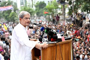 দ্রুত নির্বাচন হলেই দেশের মঙ্গল: মির্জা ফখরুল