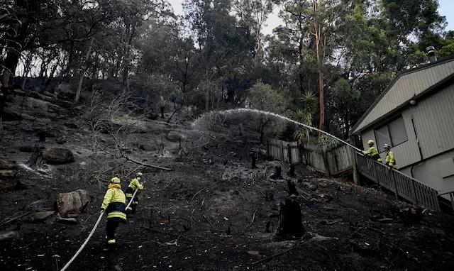 Description of Image