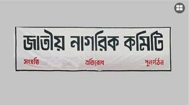 অন্তর্বর্তী সরকারের কাজে জাতীয় নাগরিক কমিটির উদ্বেগ