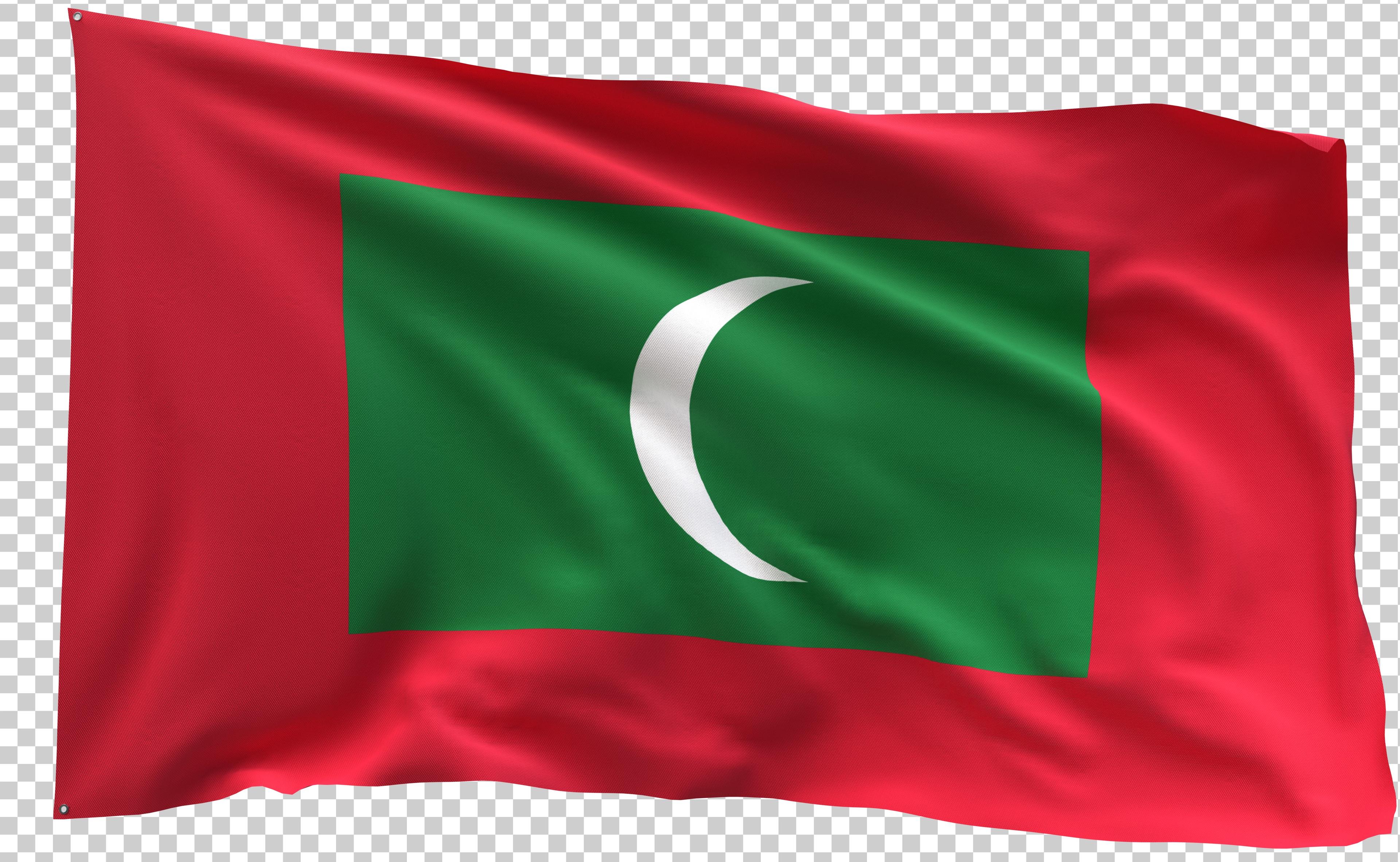 Description of Image