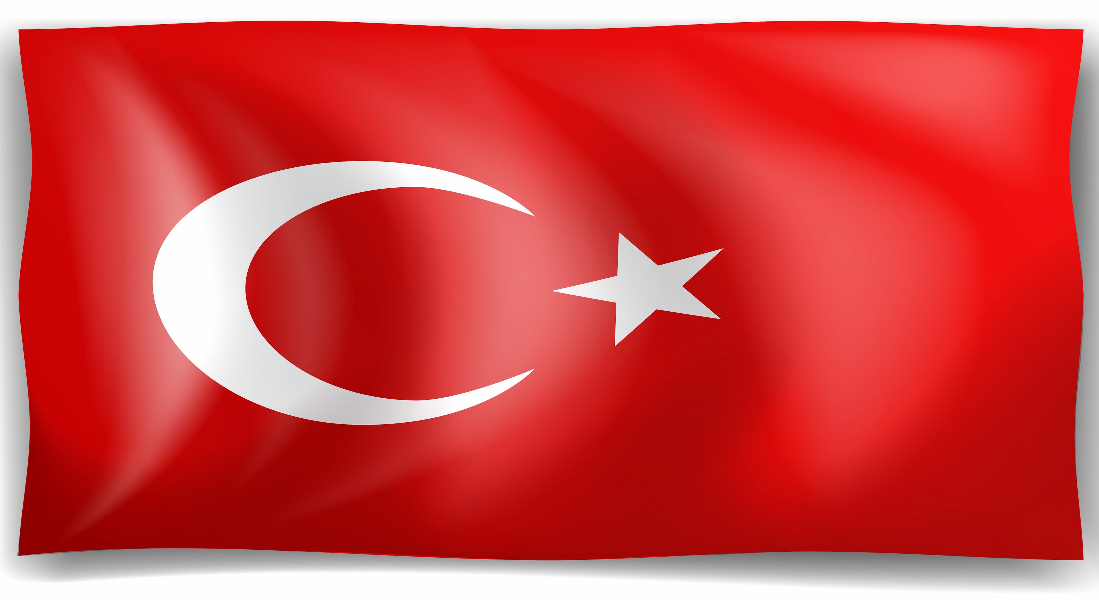 Description of Image