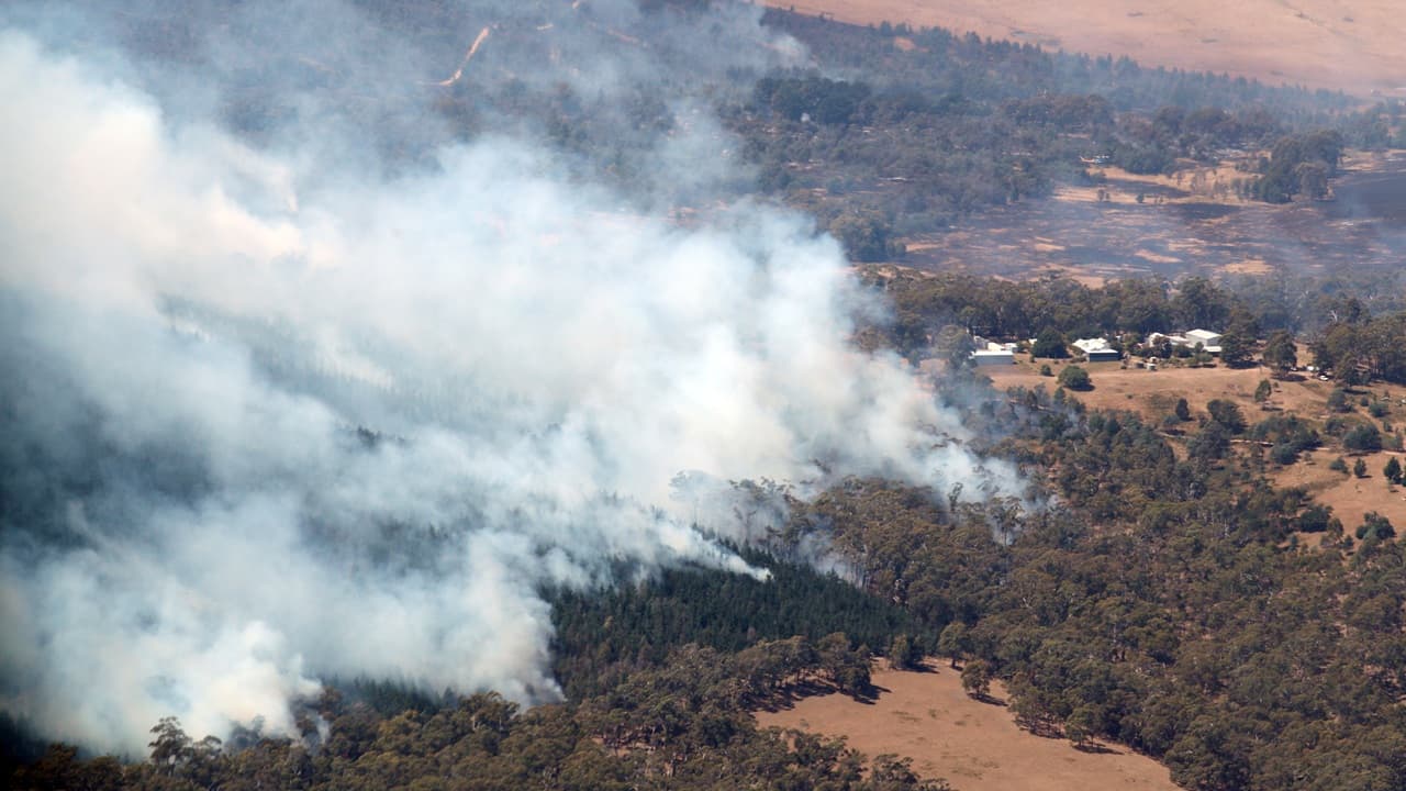 Description of Image