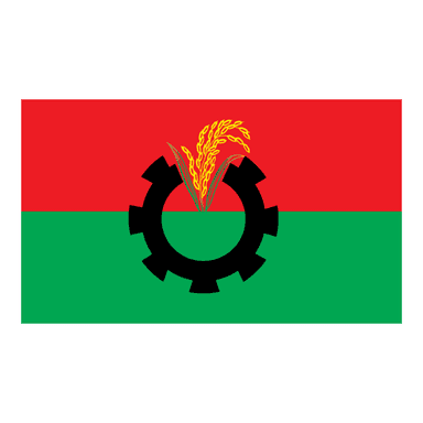 নির্বাচন নিয়ে ধোঁয়াশা সৃষ্টি হয়েছে, রোডম্যাপ চাইবে বিএনপি: সালাহ উদ্দিন