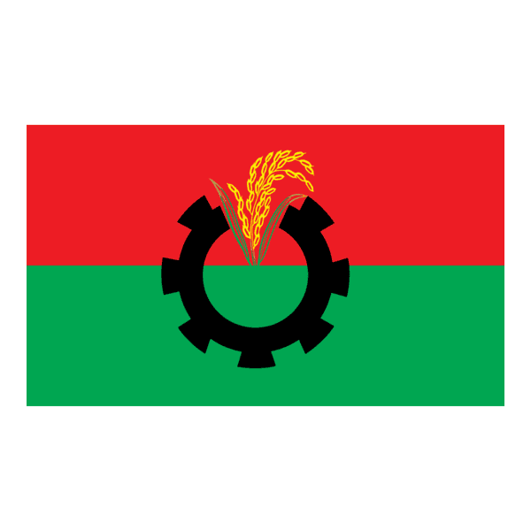 নির্বাচন নিয়ে ধোঁয়াশা সৃষ্টি হয়েছে, রোডম্যাপ চাইবে বিএনপি: সালাহ উদ্দিন