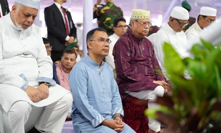 Description of Image